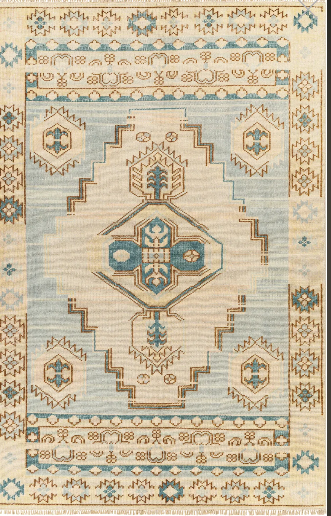Anadolu Rug by Surya - AAU-2300