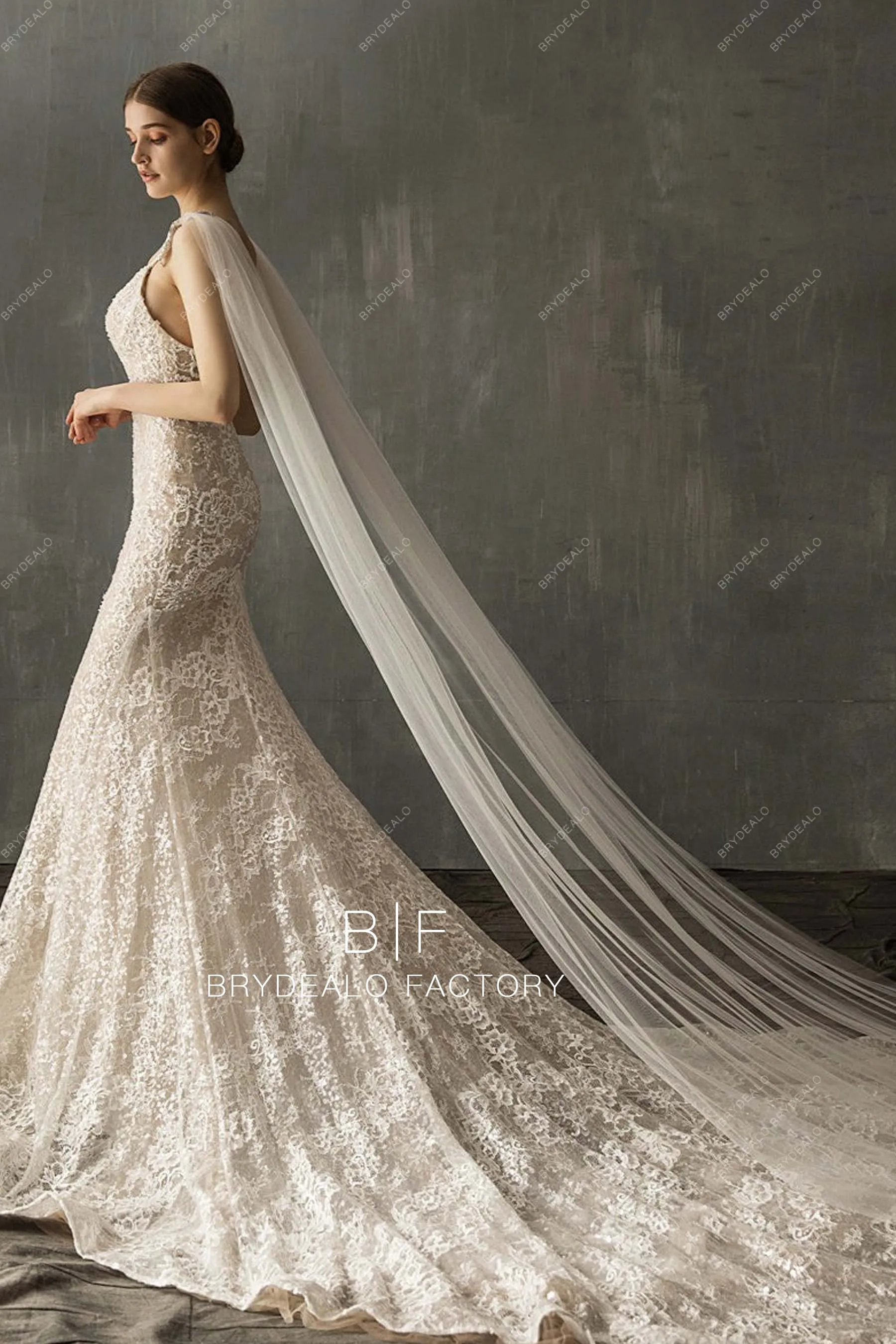 Cathedral Length Rhinestones Tulle Shoulder Veil