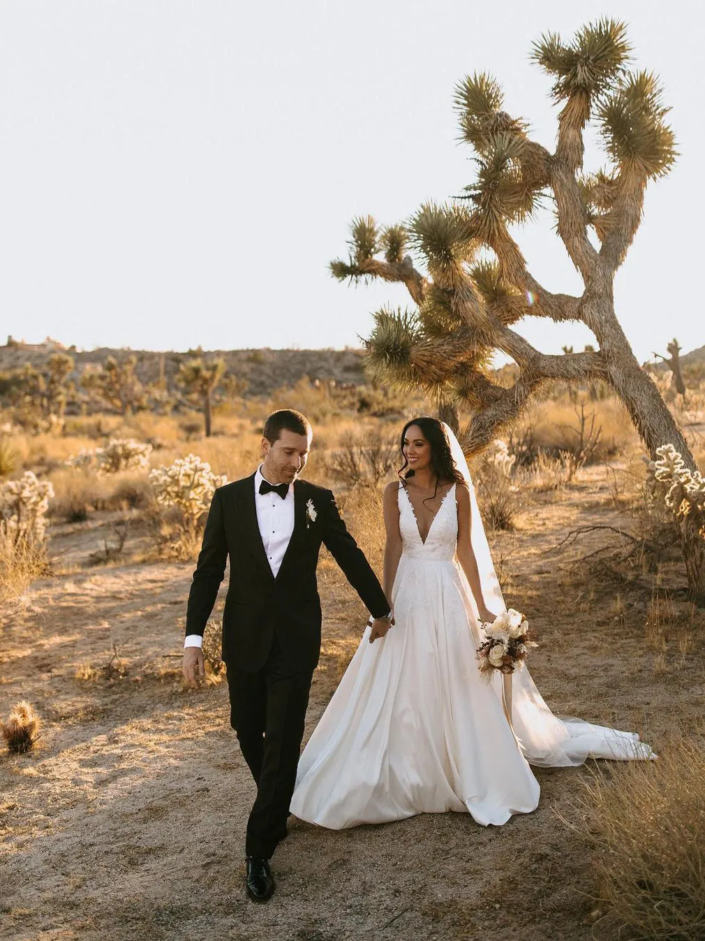 Elegant Deep V-neckline Appliqued Satin Chapel Train A-line Wedding Dresses WD587