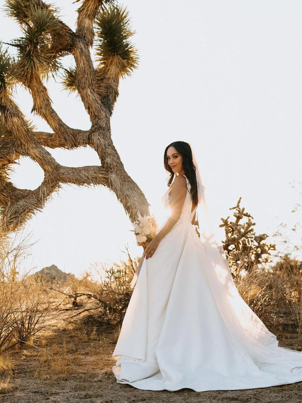 Elegant Deep V-neckline Appliqued Satin Chapel Train A-line Wedding Dresses WD587
