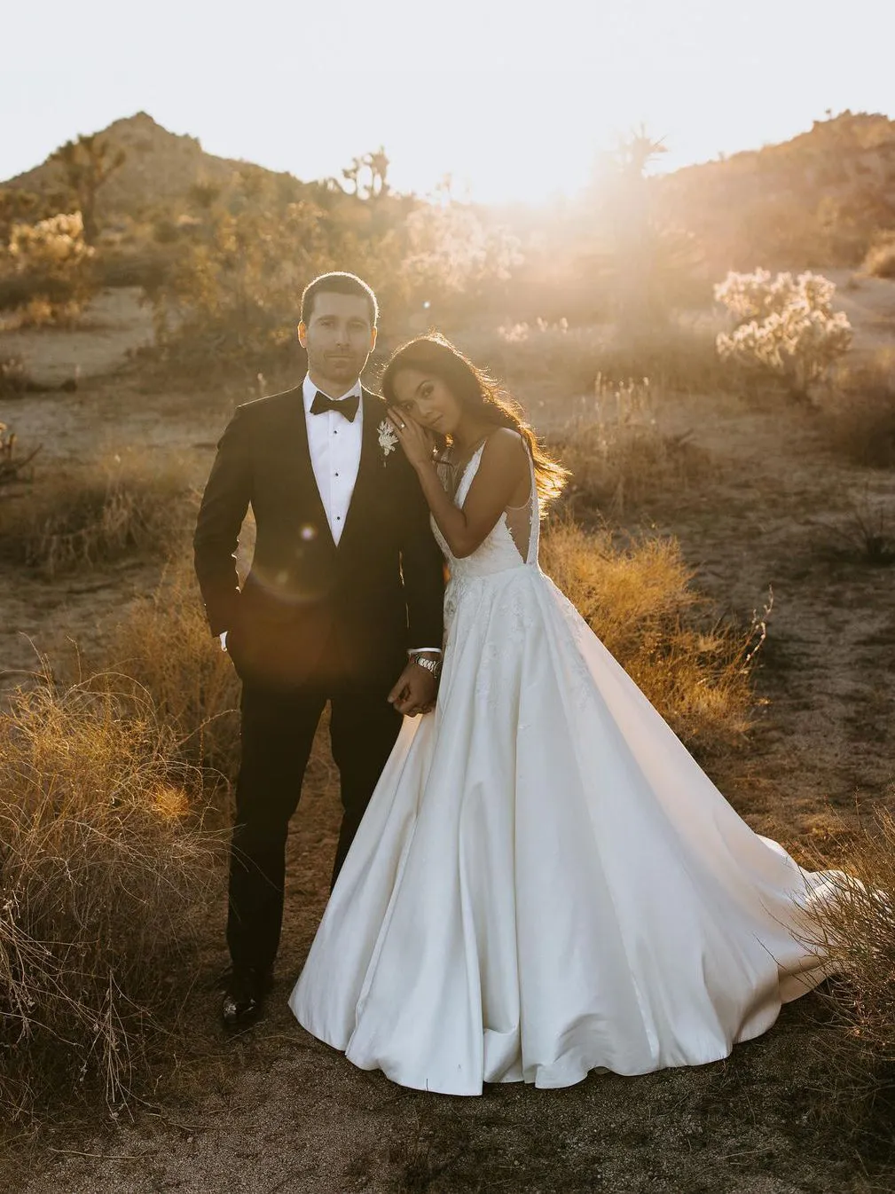Elegant Deep V-neckline Appliqued Satin Chapel Train A-line Wedding Dresses WD587