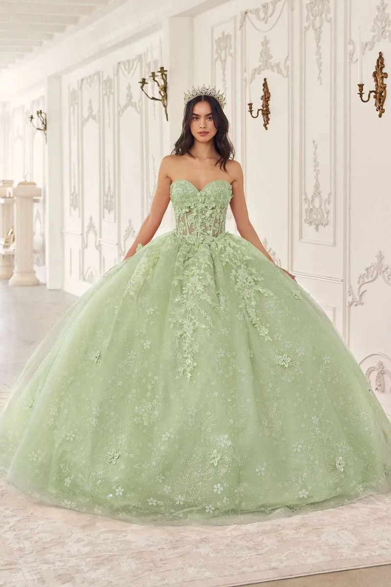 FLORAL QUINCEANERA BALL GOWN WITH CAPE CD15719