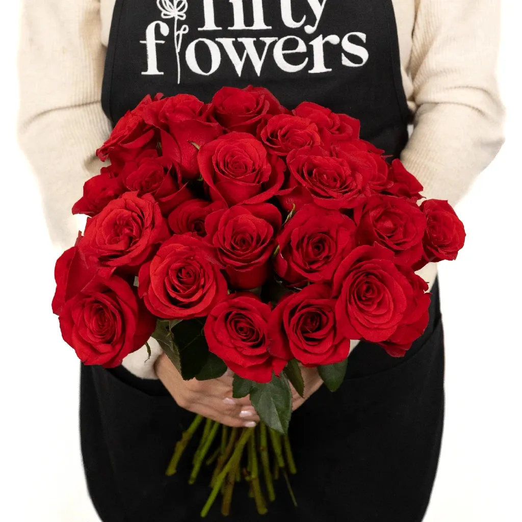 Freedom Red Rose