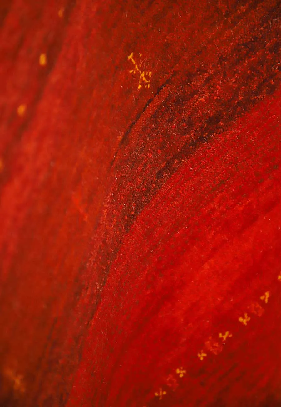 Lori Red