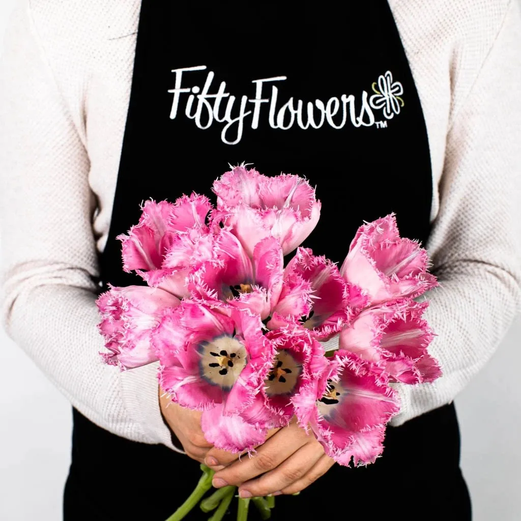Rose Quartz Fringed Tulips